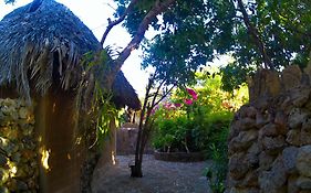 Utopia Rote Lodge